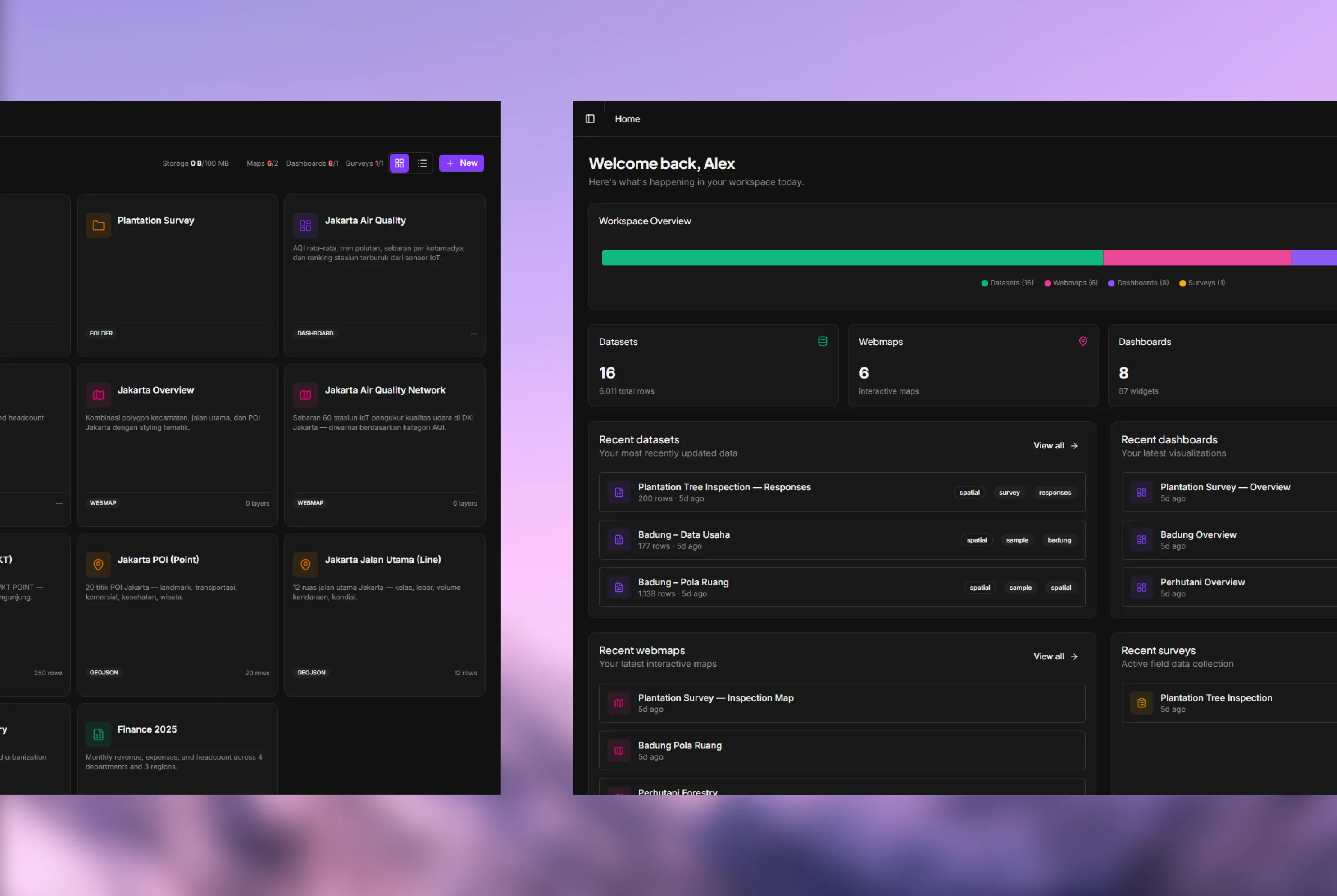 Flux Go — Unified Data-to-Insight Geospatial SaaS — 5